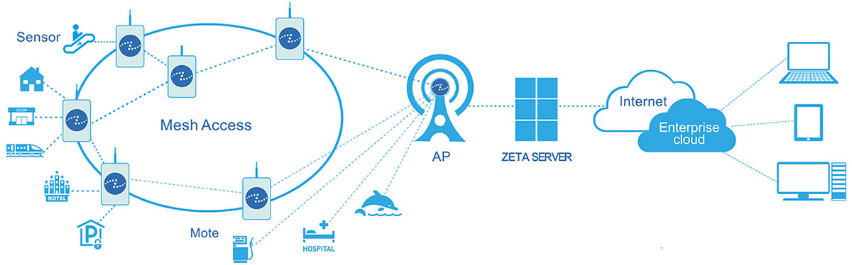 Network Architecture